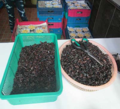 Figure 2 : Prepared Raisins as Torta enhancers, Provenance: Flores, Mata & Parinasan (2015)