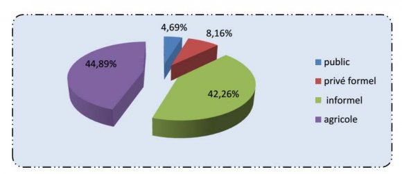 Figure 1: Secteurs des emplois ? La répartition des hommes et des femmes suivant le secteur d'activité De la figure 2 ci-dessous on déduit que la répartition des hommes et des femmes suivant le secteur d'activité montre que la part des hommes ayant un emploi dans le public et le privé formel est supérieure à celle des femmes dans ces secteurs. En effet 5, 7% et 10, 4% des hommes travaillent respectivement dans le public et dans le privé formel contre 3.4% et 5.2% des femmes. En revanche la proportion des femmes dans les deux autres secteurs dépasse celle des hommes, particulièrement dans le secteur agricole qui emploie près de la moitié des femmes (48.2%) contre 42.4% des hommes. L'analyse suivant l'âge montre que les proportions des jeunes dans le public et le privé formel sont plus faibles que celles des adultes. Ces deux proportions sont presque identiques dans le secteur agricole. La part des jeunes dans l'informel est supérieure à celle des adultes. On comprend que le chômage touche plus les jeunes, ces jeunes se reconvertissent dans le secteur agricole et le secteur privé informel par des auto-emplois. On constate que le secteur agricole regorge plus de femmes adulte alors que le secteur informel regorge plus de jeunes hommes. Ceci se comprend bien parce que la majorité des unités de production informelles se trouvent dans les centres urbains et nécessitent plus de contraintes que les unités agricoles pour être mises sur pieds.