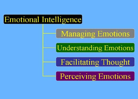 b) Facilitation of Emotional Intelligence and its Communication HR in any organisation should facilitate the effective and powerful communication of Emotional Intelligence. The role of HR should imitate the role played by Hanuman in Ramayana. The way Hanuman has aligned the emotions of Ram with emotions of Sugreeva, laid the success of Ram. It's a greatest strategic alignment skill shown by him.