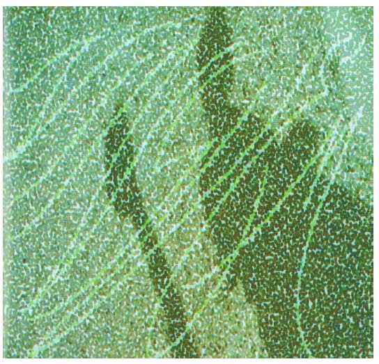 Figura 1: Fotopoema ?á½?"??? (1953-2003).Aos 90 anos de Augusto de Campos I.
