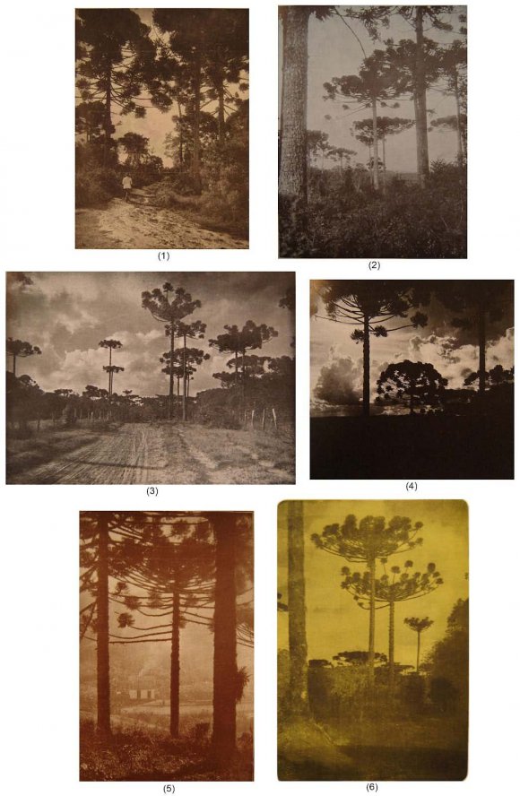 Fig. 4: Drawings, Paintings and Woodcuts The table 3, below, presents the results of a survey about the collaborating plastic artists and photographers and the number of their works published in the magazine between 1927 and 1930: