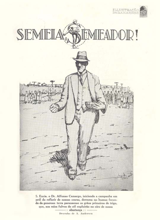 Fig. 5: Photographs of Pine Trees