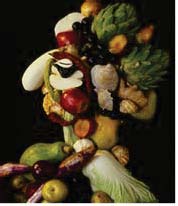 Figure 1 : Gilles Larrain -A Archimboldo, 1969 http://www.gilleslarrain.com/themes-2/still-life/