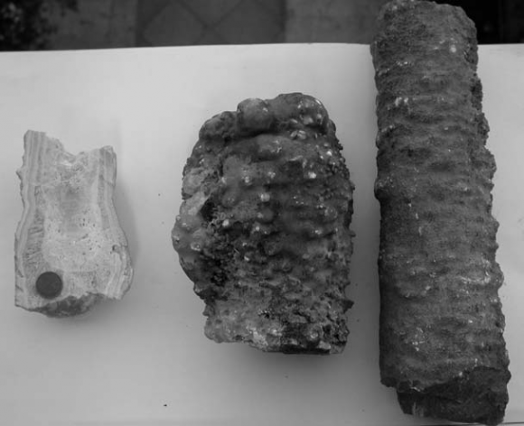 Figure 1 : Sampled studied coming from the limostone cretaceous caves outcropping on the southern Appenine (Campanian region).