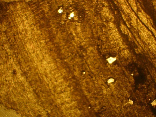 Figure 4 : Diagram of the ? 18 O versus ? 13 C of the all speleothems presented.