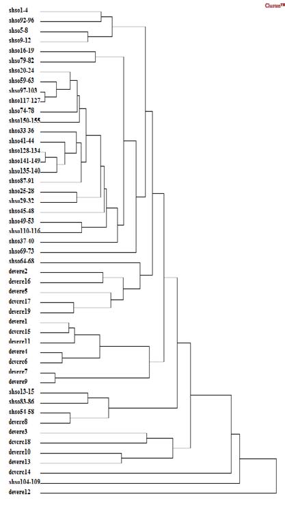 x, j = 1...y, as shown in Figure/4.