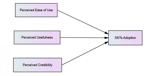 Figure 1: Conceptual Model