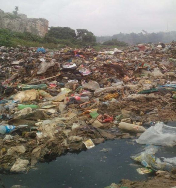 Samples from 0 to 50 individuals present similar contents of Be, Cr, Cu, Cr and S. -Samples from 51 to 150 individuals present similar contents of As, B, Co and V. -Samples from > 150 individuals present similar contents of Be, Cr, Cu, V, As and B.