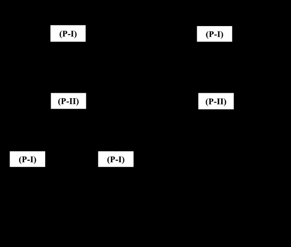 Figure 1: Plays I and II's Deceiver "(P-I)"-Perceived HG