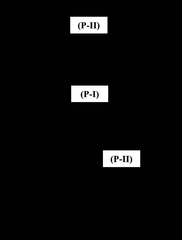 Figure 2: Plays I and II's Deceived "(P-II)"-Perceived HG, and Play III's Deceived "(P-I)"-Perceived HG b. Play III's Deceived "(P-I)"-Perceived HGIn the third play of the actual hypergame, (P-I), not perceiving that there is a hypergame being played or that it has misperceptions in the game,