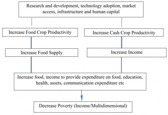 Figure 1: Conceptual Framework: Pathways to Poverty