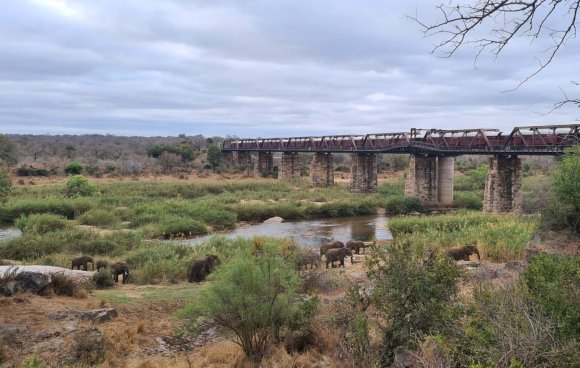 Figure 1: Comparative benefits by location (1st semester of 2023)The chart below, figure2, illustrates the allocation of resources among the various social programs mentioned earlier. We can observe that 37% (R$ 41 billion) of the funds allocated to benefits are directed to the BPC, which is the focus of our study. When we consider the number of individuals who received the BPC in the first half of 2023, we reach 5,451,640 beneficiaries, representing 18% of the total number of beneficiaries covered by all the programs under analysis.