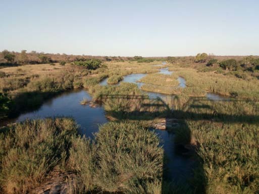 Figure 3: Comparative BPC by location (2022) c) Evolution of BPC Expenditures and its Linkage to the Minimum Wage Figure 4 illustrates the trend in BPC expenditures over the years using nominal data.Increases in nominal and real benefit values have been observed over the years. Since the BPC value is linked to the minimum wage, increases in the minimum wage value, while keeping the total number of beneficiaries constant, also increase total BPC expenditures.This information becomes more relevant when considering the real increases in Brazil's minimum wage over the years. According to the OECD Economic Report: Brazil 201811