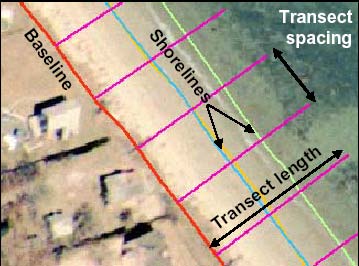 Figure 3 : Base-line and Shorelines Extracted