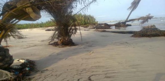 places. The reason is that human activity around the region is relatively reduced. The average rate of change of erosion is -2.1m/yr. Zone3 on the other hand is covered with high vegetation. The high variation in transect is due to shoreline accretion which is caused by human activities at the river estuary in the region. Average rate of accretion is 3m/yr in this zone.Zone 4 displays minimal net change in erosion. The area is limited to perched sandy beach with continuous thick vegetation. Human activities here are low and the average rate of erosion is -3.2m/yr. Zone 5 encompasses the main erosion. Sediments are completely stripped from the beach leaving an extensive land exposed, trees are destroyed and buildings damaged. Itak Abasi community in Ibeno Local Government Area is located in this region. Erosion is very severe such that a greater portion of the area is completely eroded (See plates 1, 2 and 3). The average rate of erosion in this region is -7.8m/yr.Plate 1 : Destroyed Trees along the Shoreline Plate 2 : Vacated School Near the Shore, Destroyed by Erosion