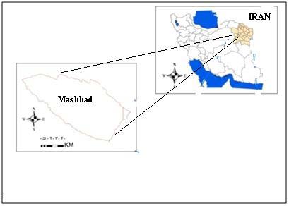 Figure 3 : Location of case study blocks in Kariakoo and Sinza V. Results from Kariakoo a) Building densification guidelines for Kariakoo Owing to the rapid transformation of buildings in Kariakoo, the Ministry of Lands, Housing and Human Settlements Development in collaboration with the Ilala Municipal Council prepared a redevelopment scheme of the area in 2002. Four distinct zones were proposed namely; areas whose development in terms of buildings should not go beyond two storeys, two to four storeys, five to seven and above eight storey (Table1, Figure4). Additional guidelines included plot coverage and maximum Floor Area Ratio. While the recommended minimum plot coverage was 30 percent, the maximum coverage was set at 70 percent (Table1). In terms of
