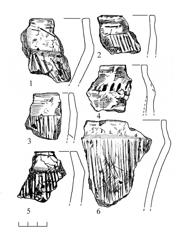 Regarding about the Cultural Attribution of Hill Forts in Braslav Poozerye
