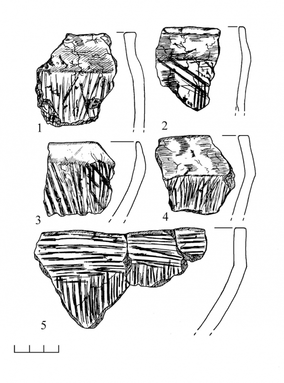 Figure 2 : Hill fort Tarilovo. Vessels of Hatched Ware Cultures.