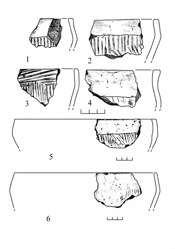 Figure 8 : Hill fort Ratjunki. Vessels of Late Hatched Ware Culture.