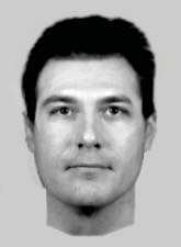 f) Romanian police trial Further work was carried out to allow EvoFIT to be used in Romania. This was made possible by collaboration between authors CDF and AS, and the Forensic Department of Iasi County Police Inspectorate, Romania. Funding was provided by Crime Solutions, UCLan. At the start of the collaboration, the available EvoFIT databases allowed construction of Western European white (Identity Code 1, IC1), Afro-Caribbean black (IC3) and Asian offenders (IC4), plus offenders of Global Journal of Human Social Science Volume XI Issue III Version I 41 April Catching more offenders with Evofit Facial Composites: Lab Research and Police Field Trials