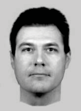 mean correct naming for EvoFIT measured in the laboratory (24.5%: Frowd et al., 2010b; 24.1%: Frowd et al., Submitted-a; 22.7%: Frowd et al., Submitted-b). So, based on two measures-arrest rate and mean correct naming-EvoFIT's performance is remarkably similar in the laboratory and in the hands of the intended user. a) Interviewing styles Arrest rates from the four forces indicate that EvoFIT's performance approximately doubled form earlier (19.5%) to later (38.5%) evaluations. While the basic procedure for operating EvoFIT changed little over the course of the field trials, with the exception of asking witnesses to select facial aspect at the start and adding a new holistic scale, there was a notable change in the interview method used by operators to help witnesses recover facial information about offenders.