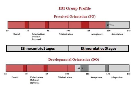 Figure 1 : Leadership Team's IDI Pre Group Profile