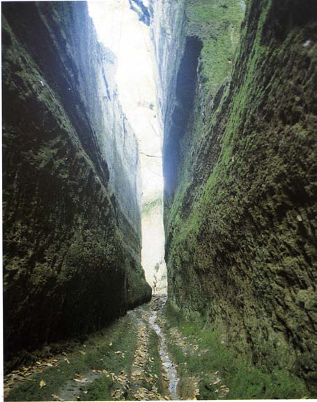 Fig 7 : (Above): Two linked Fermat spirals on the wall of the cave at Pala Larga and (below) their interpretation in 3 dimensions, as a 'worm hole' or means of communication, (possibly by telepathy?) between X and Y