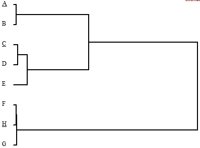 of Choosing Names for Newborn Children in Jordan