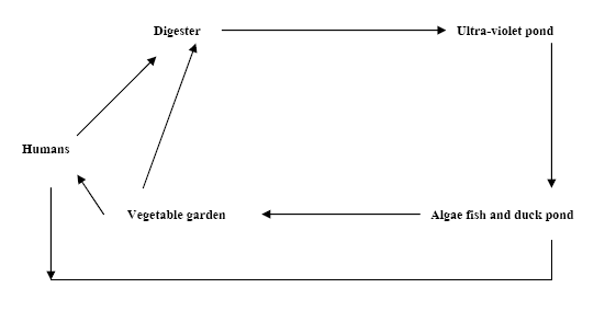 Figure 2 shows methanol production.