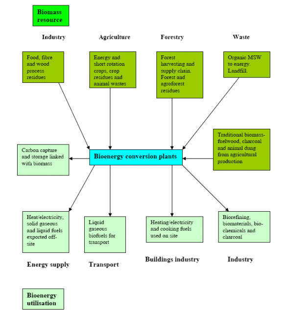 Figure 3 : Biogas production process(Omer, 2003) 