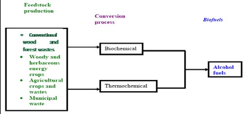 Figure8: Biofuel pathways for renewable alcohol fuels(Omer, 2006) 