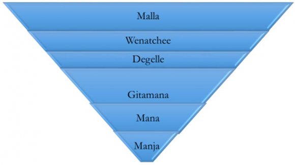 Figure 1: Hierarchical Structure of society in some part of the SNNP region in EthiopiaThe pyramid portrayed above indicates that in the southern parts of Ethiopia, there are class structures which it have a similar feature with the caste system. Accordingly, the pyramid displayed that the social structure from the superior to the lower class which it has been taken as a norm in the part of the community. The Manja people are found in the lower level of the social strata and the marginalization and segregation is much higher at the lower strata where the Manja people are situated.Haal and, et al. (2004: 156) and Yoshida (2013:3-4) explained the occupation and the role ofeach strata stated in the above pyramid in the community. The Malla has been assumed by the community ascitizens, farmers, leaders, whereas the Wogatche are assumed as Steely coiners. The Degelle has believed as tanners, the Gitamana as iron smelters and the Mana as Potters. People in lower strata called Manja also taken as Charcoal producers, forest users and former hunters. That is why the purpose of this study was to investigate the causes and consequences of the marginalization of the Manja people and the efforts made so far by the government any other stakeholders to address the problem.The Manja people are excluded because of engaged in less valued occupational tasks and born from a particular clan (Yoshida 2013:13-14). The multifaceted and complex process of marginalization and social exclusion indicates that the social integration and organizational bottlenecks that confront the realization of solidarity, human wellbeing and an equal opportunity of the diversified community. Tewdros (2008:2) in his study also reported that the Manja people have been segregated from the other people saying the cultural activities of the Manja community are assumed to be contrary to the community's norms and religious practices. Consequently, the other communities are not willing to have economic, social and cultural ties with the Manja community.Under Rights -Based Approach, in the context of marginalization and exclusion, I can argue that rights