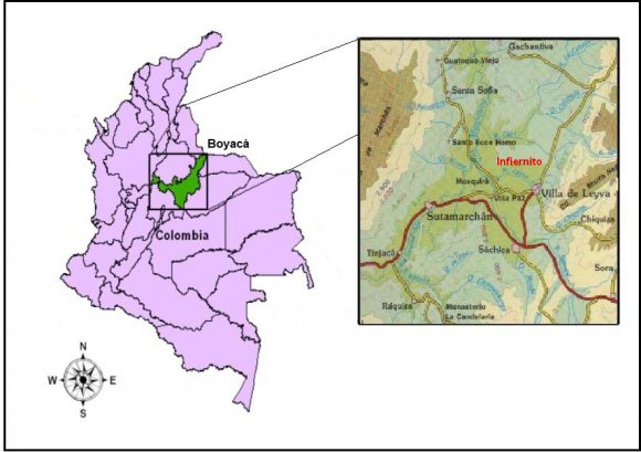 Beach 2015; Beach et al. 2013; Smyth et al. in press; Wells et al. 2015). To combat flooding the Muisca may have built raised fields along river alluvium like those documented along the Rio Bogotá near the town of Funzá (Kruschek 2003) and elsewhere on the Sabana de Bogotá (Broadbent 1968; Boada 2006, 2007). Early Colonial sources from the Valley of Zaquenzipá (Leiva) clearly indicate that the Muisca had practiced raised field agriculture and canal irrigation long before European Contact, and that Prehispanic hydraulic features were still being used in the 16th century (Restrepo 1895; Mora Pacheco 2011, 2012, 2015; Langebaek 2013).