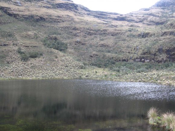 Figure 4: Photo looking east showing the replica Sun Temple of Suamox burned by Spanish Conquistadors in 1537 reconstructed at the Archaeological Museum in Sogamosa, Boyacá, Colombia