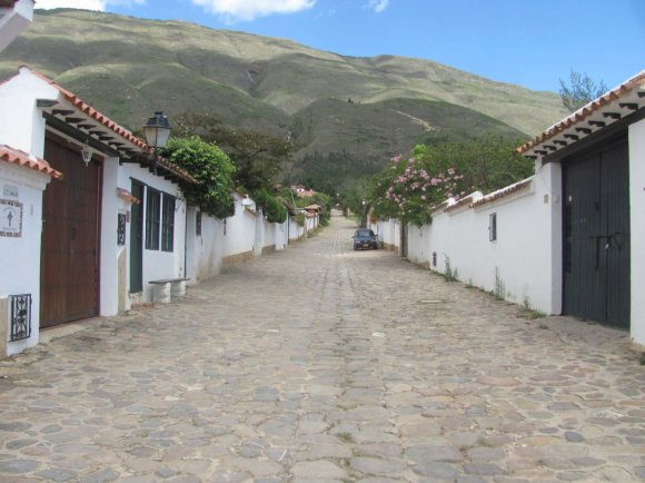 Figure 12a: Photo of eight carved limestone and sandstone portrait statues exhibiting typical Muisca decorative symbols and motifs from a private collection. These statues allegedly were found on or near the Terrace Platform. Many appear to be deity or elite figures associated with fertility (Bachué) and the origin myth of Iguaque