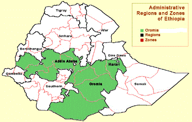 small farmers in Nepal; research on the role of indigenous drugs in veterinary medicine in India by Bhandari & Mukerji,(1958); Gidey, (2009) Assessment of indigenous knowledge of medicinal plants in central zone of Tigray; Abdulhamid,et al (2004) Promoting production of medicinal plants for human and animal health in and around Bale Mountains National Park and Use and management of ethno veterinary medicinal plants by indigenous people in Boosat, Welenchi area, Ethiop by Debela et al,(2004).
