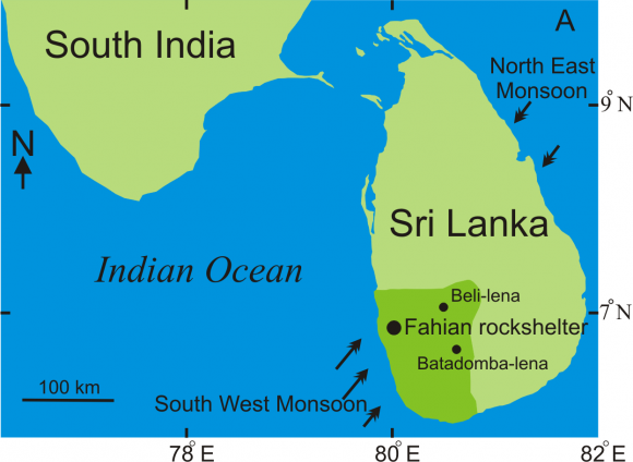 al., 2006; Berón & Luna, 2007; Del Papa et al., 2011; Ortiz & Nieva, 2014a; Desántolo et al., n/d).