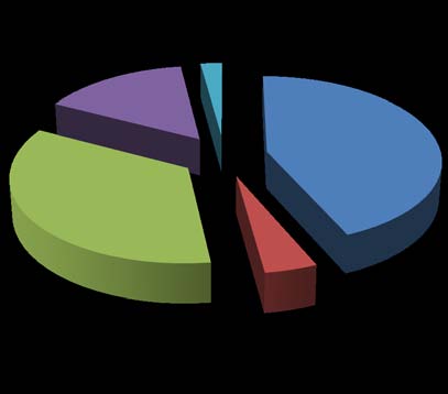 Figure 3: Other Mobile Application used by some of the Active Users