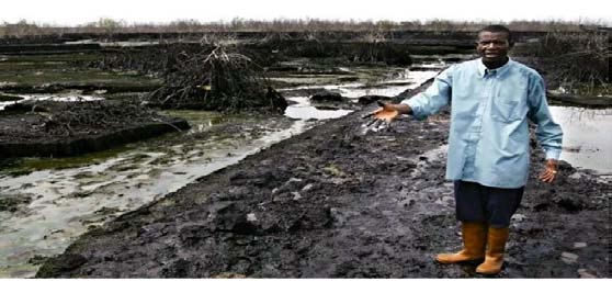 Figure 2.1: Impact of Crude Oil Spillage on a Farmland In Mkpanak Community, Ibeno Local Government Area, Akwa Ibom State.