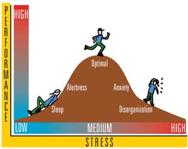 d. Breakdown: If the efforts are continued the person may develop chronic neurotic tendencies or one of several psychosomatic illnesses. In this stage of stress tolerance level individuals are likely to get perturbed and broken down.