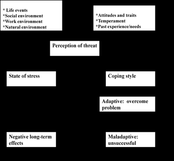 academic demands. b. Being on your own in a new environment. c. Changes in family relations. d. Financial responsibilities. e. Changes in your social life. f. Exposure to new people, ideas, and temptations. g. Awareness of your sexual identity and orientation. h. Preparing for life after graduation.