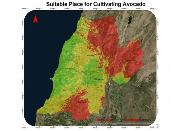 Figure 6: Coastal Stone Fruits Map