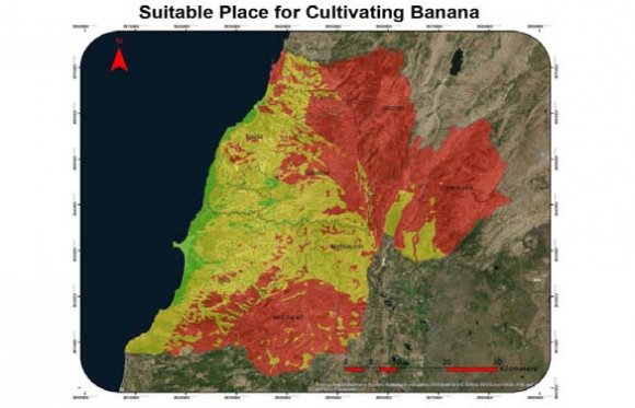 Figure 7: Avocadoes Map