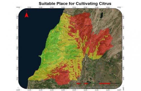 Figure 13: Loquat Map Figure 14: Mangoes Map