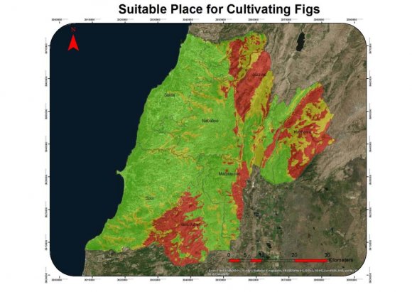 GIS-Based Map for Best Suitable Place for Cultivating Permanent Trees in South-Lebanon