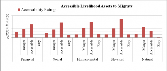 Fig. 4: Assets Accessible to Studied Migrants