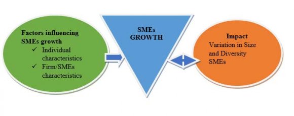 Figure 1: SMEs growth process