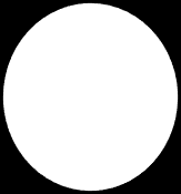 Fig. 5: Historical Change in Public Organization Models