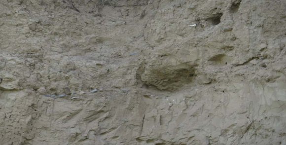 Figure 3: Rakhat camp. Nucleus