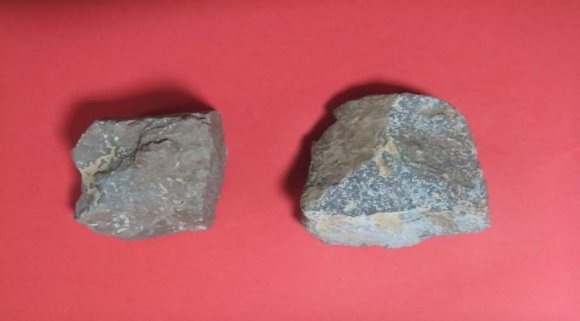 Figure 6: Rakhat camp. Nucleated forms